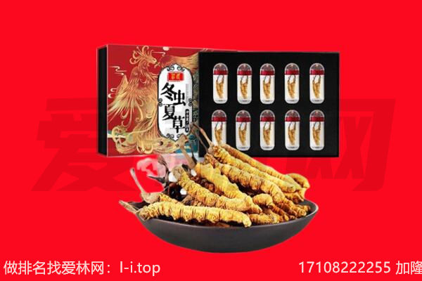 吕梁文水县回收虫草.jpg